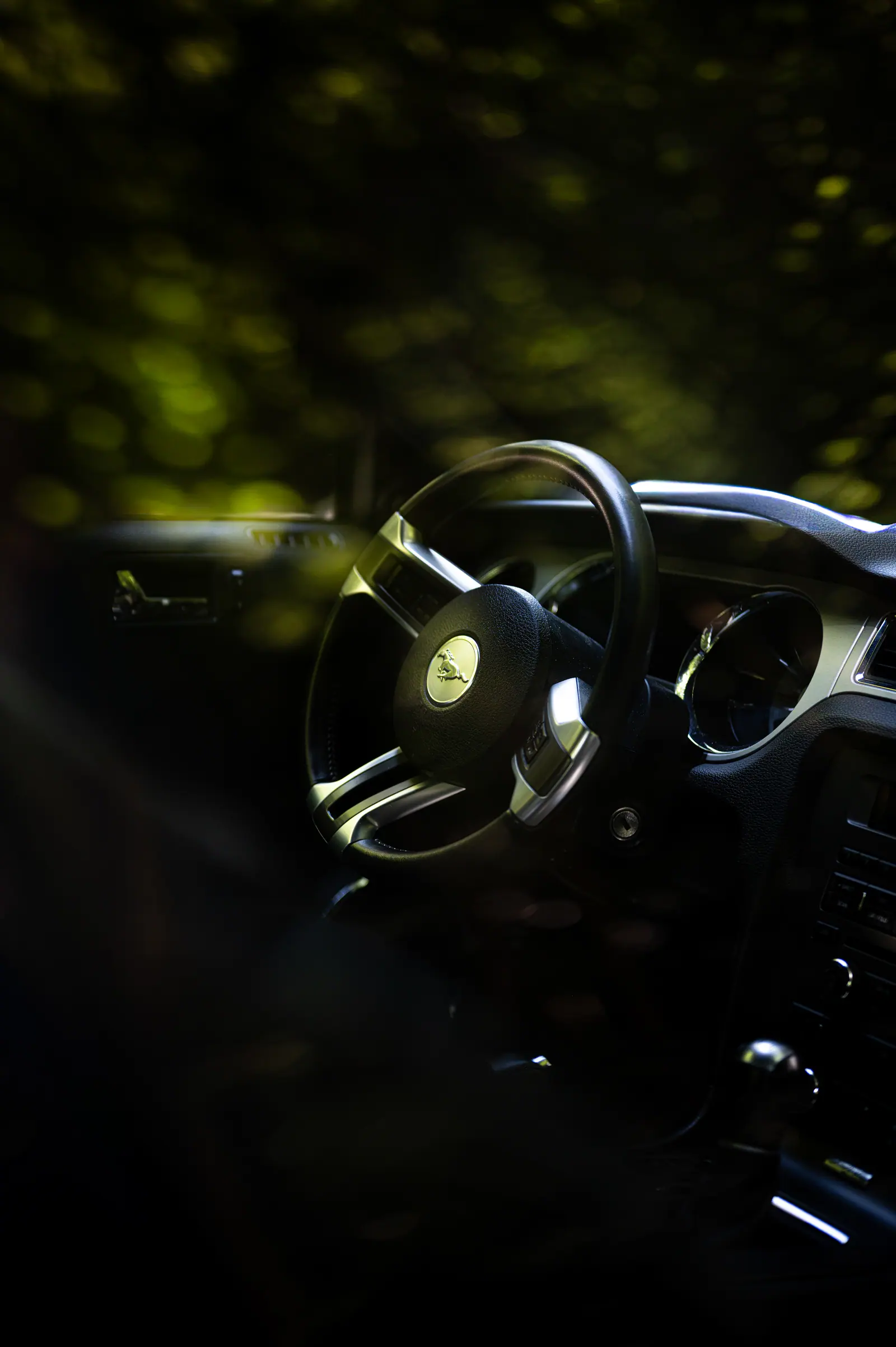 Steering wheel and dashboard seen from the passenger seat