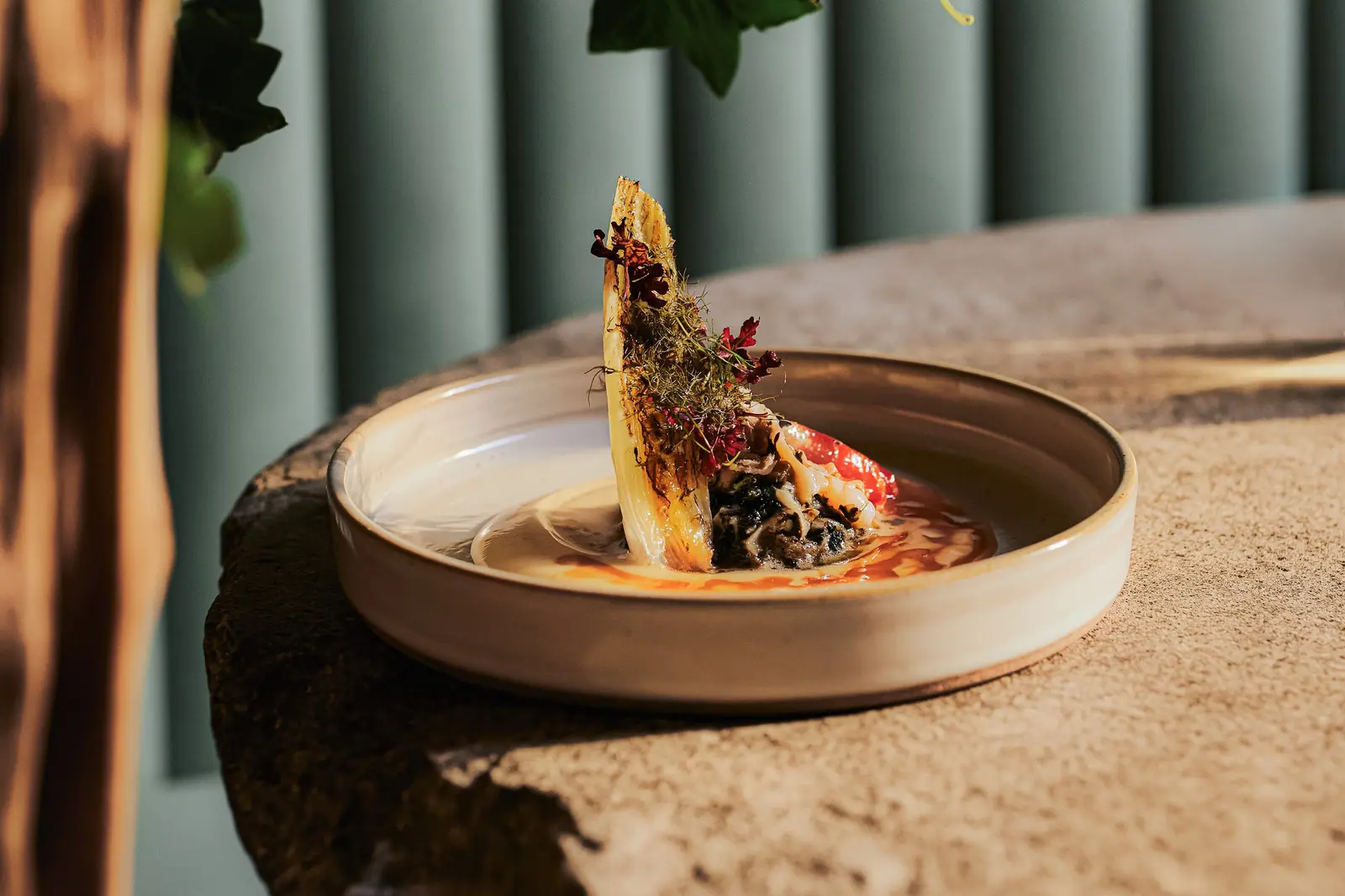 Plated dish on a stone ledge in soft afternoon light