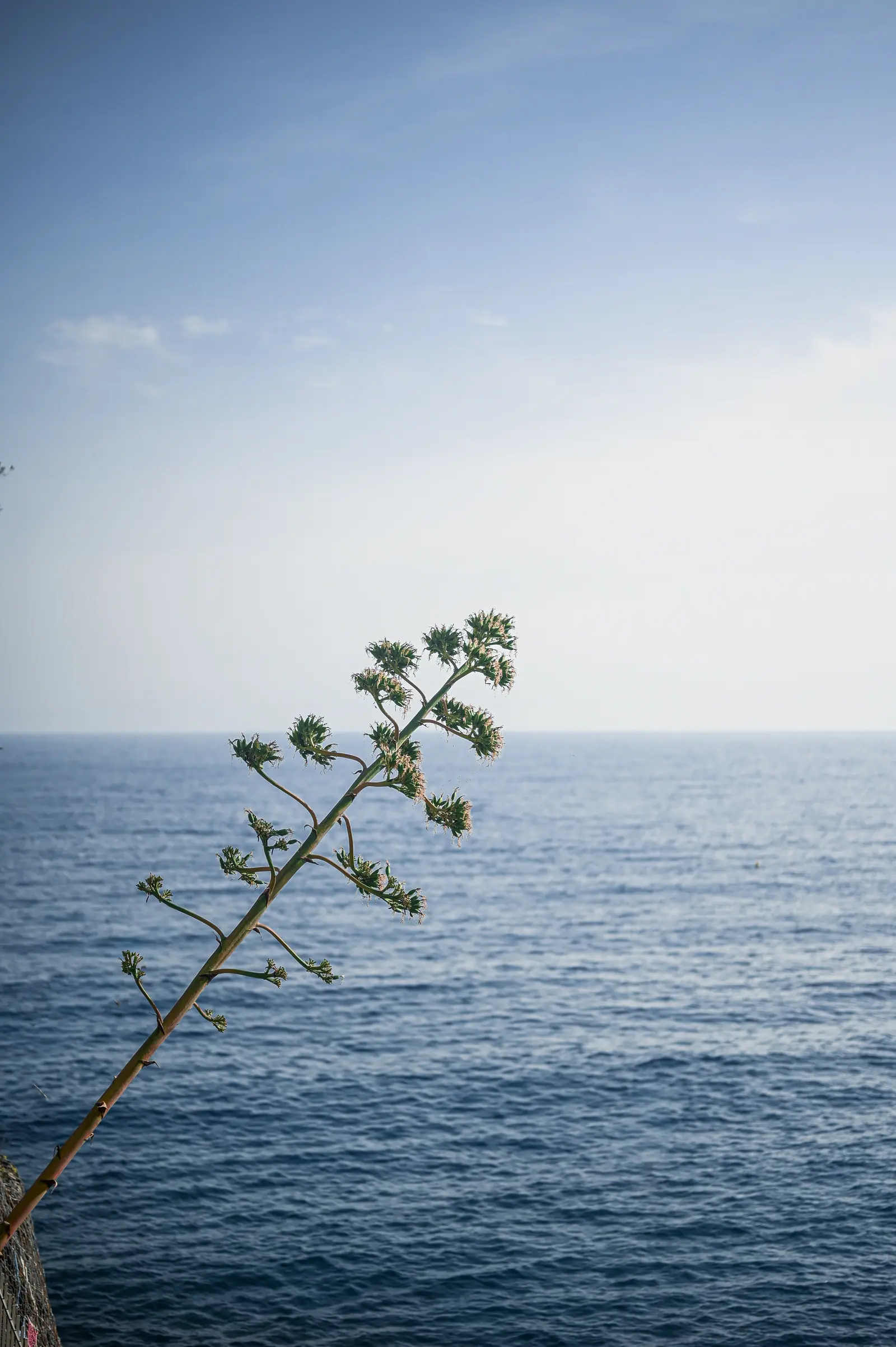 Travel Journal, frame 12