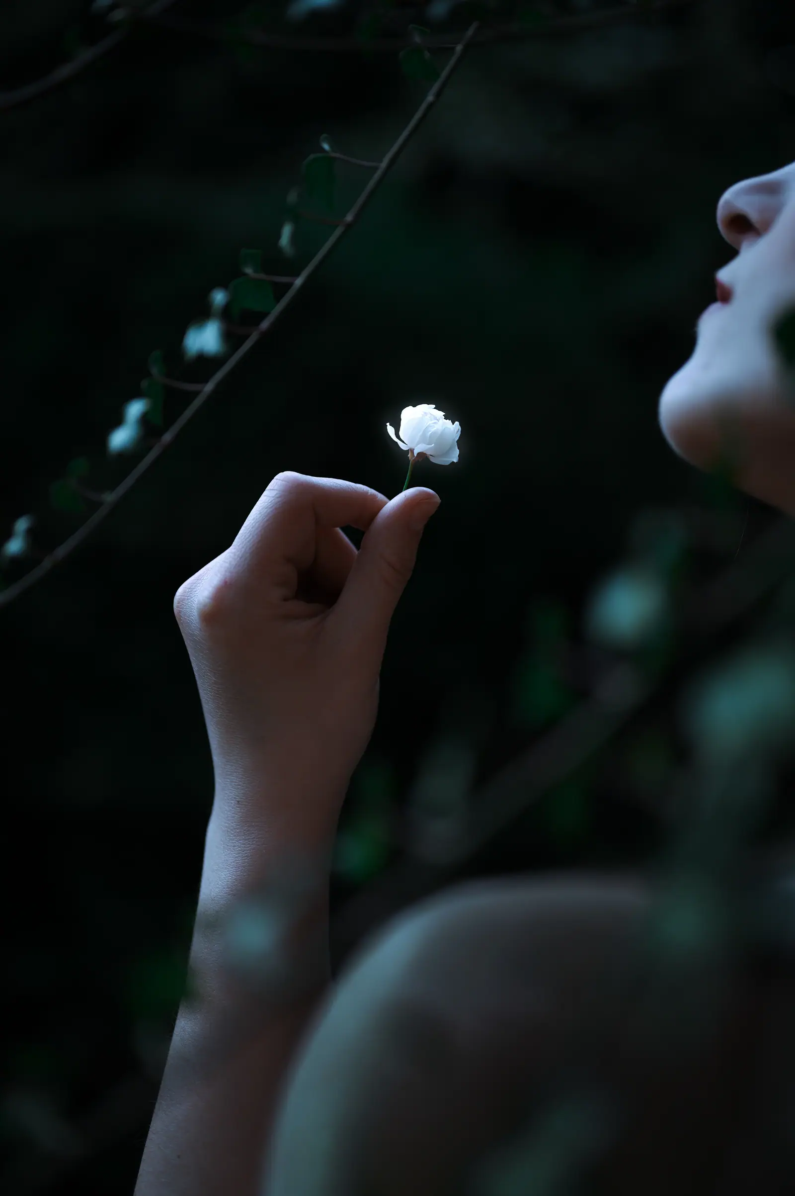 Visual Storytelling, frame 2