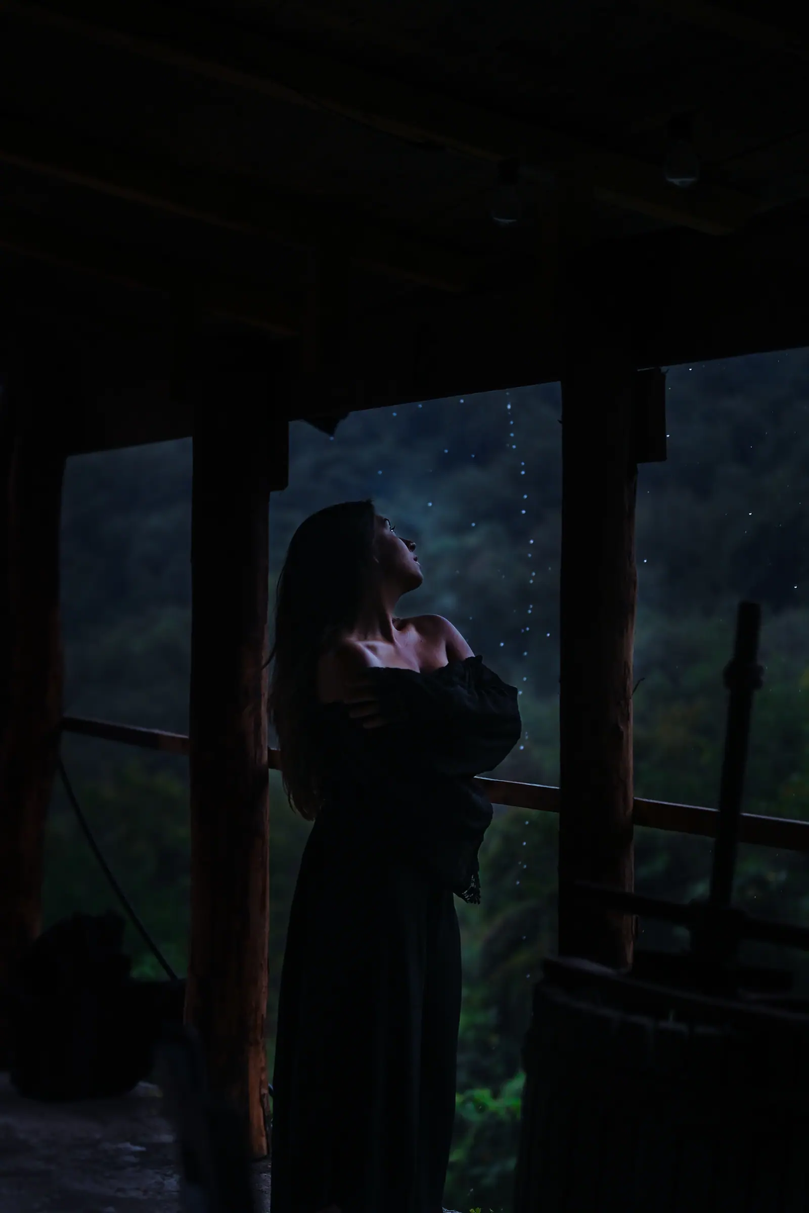 Visual Storytelling, frame 13